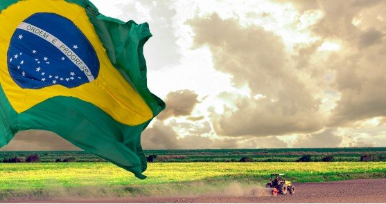 Importância do Agro Agronegócio Movimenta o Brasil